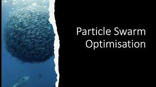 Particle Swarm Optimisation