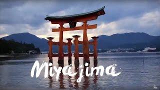 Merecz in Japan: Miyajima