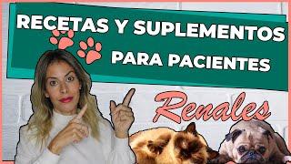 COMIDA para PERROS con INSUFICIENCIA RENAL | ¡RECETAS y todos los SUPLEMENTOS!