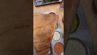 Saravana Bhavan - best vegetarian restaurant in USA #avuvofcl #viral #shortsfeed #saravanabhavan