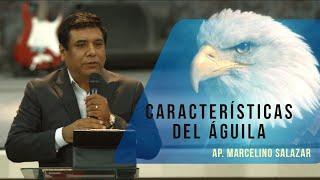 Características del Águila - Ap. Marcelino Salazar