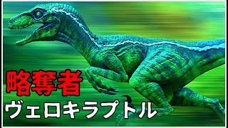 【ゆっくり解説】略奪者と呼ばれた恐竜　ヴェロキラプトル