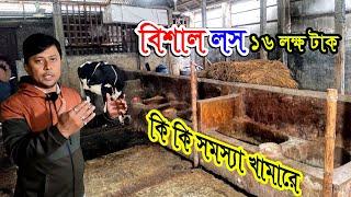 যে কারণে গরুর খামারে লস ১৬ লক্ষ টাকা | গরু লালন পালন করে লাভবান হতে চাইলে দেখুন | গরুর ফার্মে সমস্যা