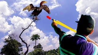 Slingshot Birds Hunting Survival ChallengesBest pigeon dove wild Birds crow pheasant kill shot