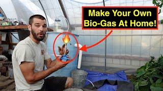 DIY Greenhouse Bio-Fuel Experiment - Free Energy From Waste