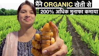 Organic Haldi farming business model in India / Turmeric Powder Profitable Agriculture