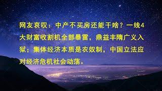 网友哀叹：中产不买房还能干啥？一线4大财富收割机全部暴雷，鼎益丰隋广义入狱；集体经济本质是农奴制，中国立法应对经济危机社会动荡。