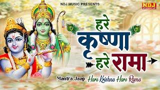 हरे कृष्ण हरे कृष्णा हरे राम हरे रामा ~ Hare Krishan Hare Rama | Iskcon Kirtan #hareramaharekrishna