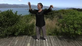 UPDATED : Tai Chi 5 Min a Day Mod 02 - Easy for Beginners - Cloud Hands and Single Whip - New Music