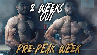 PRE PEAK WEEK - NATURAL BODYBUILDER 2 WEEKS OUT