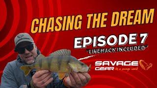 Prech Fishing | Perch Fishing Adventure! | Chasing the Dream  Ep. 7  #prechfishing #fishingtips