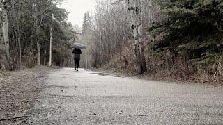 A Rainy Day in Mill Creek Ravine