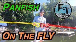 Fly Fishing Panfish Success!!! (bluegill tips & techniques using nymphs) - "Fish Tails" ep-21