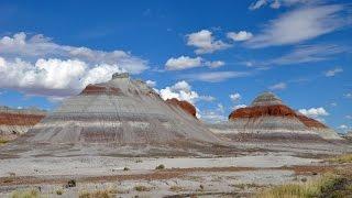 Petrified Forest National Park