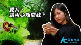 告訴我！你有多愛魚！｜AC草影水族