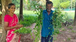 நாங்க ஒரு இடத்துக்கு போறோம் வாங்க போகலாம்..