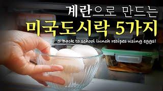 영양만점! 계란으로 만드는 미국도시락 아이디어 5가지    5 Back to school lunch ideas using nutritious eggs