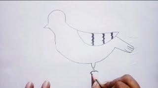 a new way pigeon drawing for beginners || pencil sketch || ingenious ps drawing