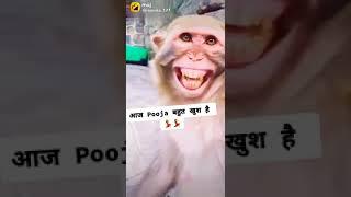 DEEPAK DHIMAN VAISH