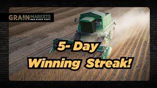 Soybean Winning Streak + USDA Farm "Profit" Forecast