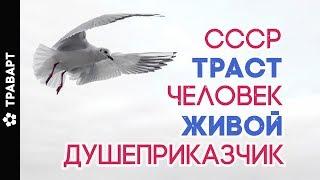 Траст Человек Живой Душеприказчик Естественное право Божественные законы СССР  Категорическкий отказ