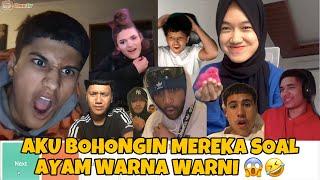 REAKSI PARA BULE LIAT AYAM WARNA WARNI, MEREKA SHOCK - OMETV INTERNASIONAL