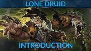 Dota 2 Lone Druid Introduction Guide by BRAX