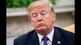 Trump fans try to defend Trump’s tariffs, INSTANTLY regret it