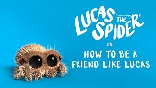 Lucas the Spider – How to be a Friend Like Lucas - Short