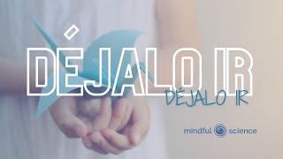 Déjalo ir: meditación guiada para SOLTAR | Mindfulness [Audio 8D] Nayla Funes para Mindful Science