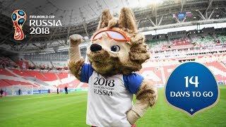 14 DAYS TO GO! Zabivaka, Russia 2018’s Official Mascot