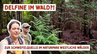 Wandertipp Bayern: Wandern im Naturpark Westliche Wälder zur Schwefelquelle bei Aystetten