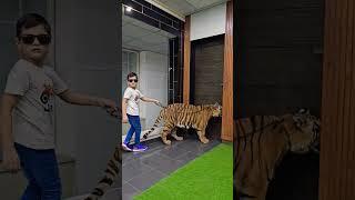 Naughty Kid Walking With 1 Year Old Tiger | Nouman Hassan |