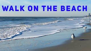 SUNRISE WALK ON THE BEACH - Virtual Walk 1 HOUR Video - Sea Waves and Sand