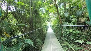 Sky Walk Hanging Bridges - Sky Adventures - Monteverde Park, Costa Rica