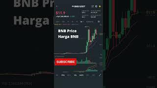 BNB Price Today (Harga BNB Hari Ini) 5-1-2022