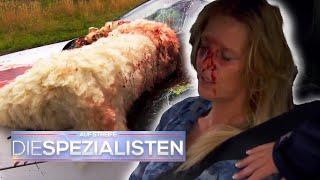 Schrecklicher Unfall auf der Autobahn: Autofahrerin in Lebensgefahr! | Die Spezialisten | SAT.1