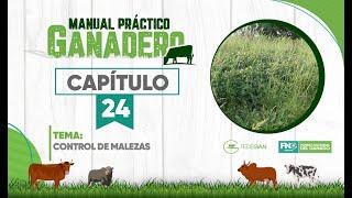 Capítulo 24 - Control de malezas #ManualPrácticoGanadero