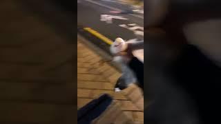 Guy caught a seagull "thief" with bare hand~