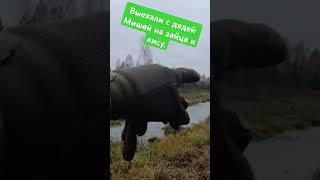 Выехали погонять зайчика с выжловкай. Заяц ты меня слышишь.#охтасгончей#охотаназайца#охотаналису