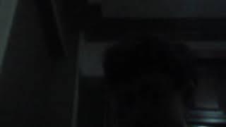 تحدي yoge