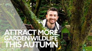 How to Bring Wildlife into Your Garden this Autumn | Fall Garden Jobs