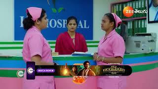 Nindu Noorella Saavasam | Ep - 431 | Preview | Dec 13 2024 | Zee Telugu