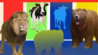 Lion, elephant and cow race।। cartoon animation ।।