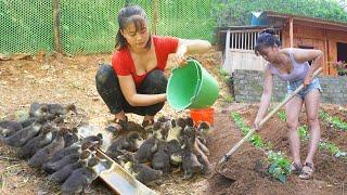 120 Days: Raising Geese, Vegetable Garden, Building, Cooking - Build Log cabin timelapse