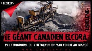 Le géant canadien Elcora veut produire du pentoxyde de vanadium au Maroc