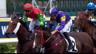 HKJC 沙田銀瓶 Sha Tin Vase 三級賽 G3 1200m 2025-05-31 驕陽明駒 HELIOS EXPRESS 沙田馬埸 Shatin