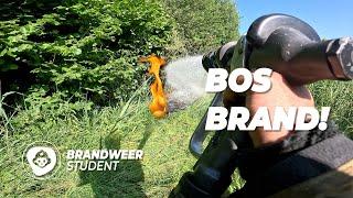 MEERDERE BOSBRANDEN DOOR PLUISJES  | DUTCH FIREFIGHTERS | BRANDWEER STUDENT