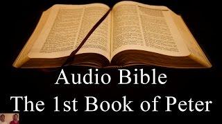 The First Book of Peter  - NIV Audio Holy Bible - High Quality and Best Speed - Book 60