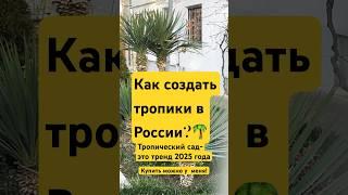 Пальмы на ваш участок до -20️ #дача #дизайндачи